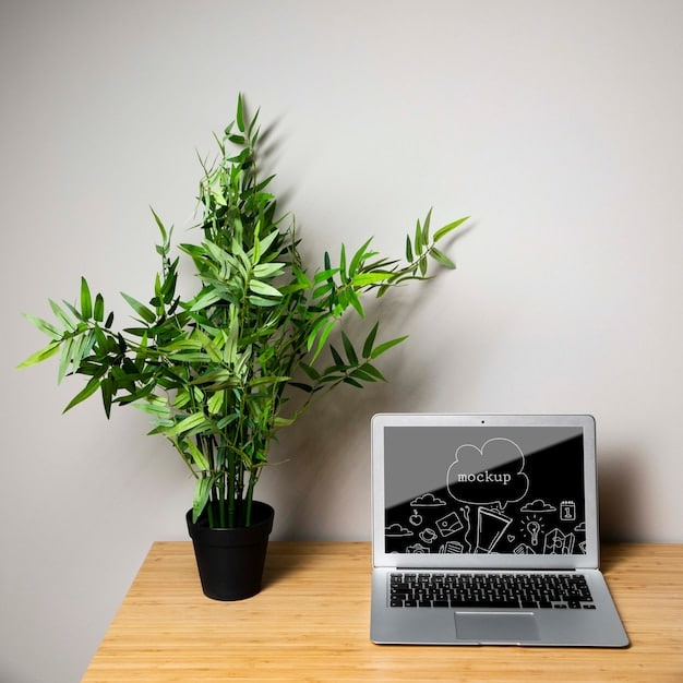 A minimalist workspace with a clean desk, a single laptop, and a plant, symbolizing focus and lack of distractions.