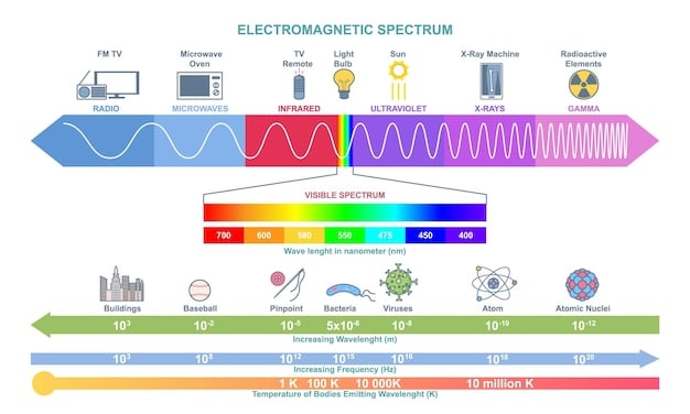 An infographic illustrating the different brainwave frequencies (Delta, Theta, Alpha, Beta, Gamma) and their associated mental states (sleep, meditation, relaxation, focus, peak performance).