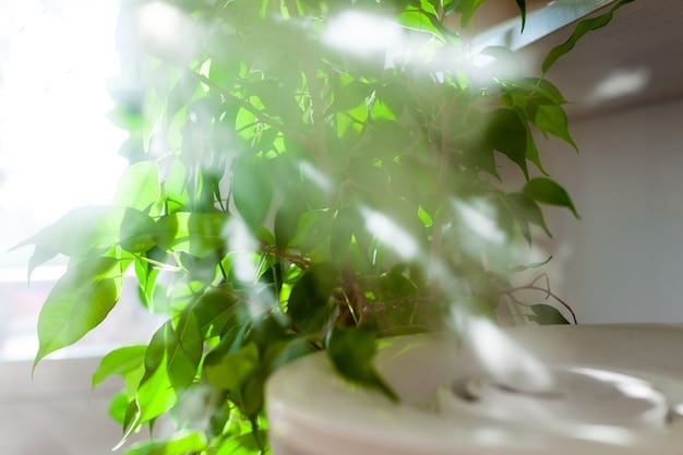 A close-up shot of green leaves gently swaying in the breeze, with dappled sunlight creating patterns on the forest floor. The image should be soft, calming, and representative of a natural, green environment.